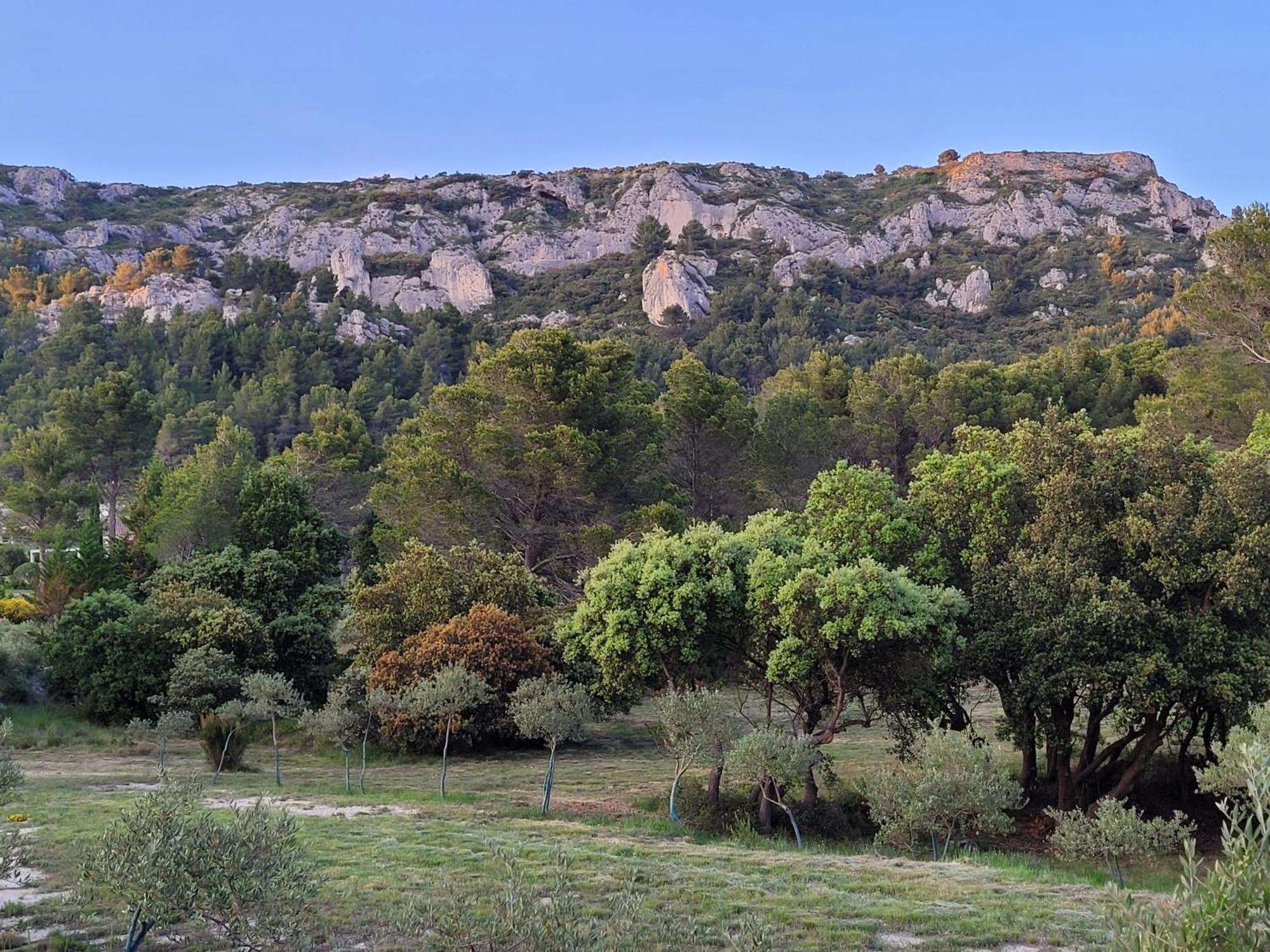 Chrysalide Du Luberon Cheval-Blanc